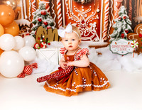 Gingerbread Cake Smash