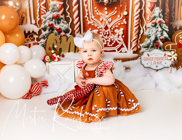 Gingerbread Cake Smash
