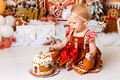 Gingerbread Cake Smash