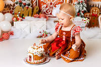 Gingerbread Cake Smash