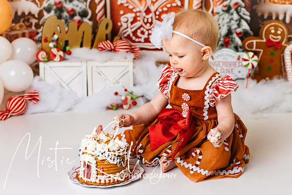 Gingerbread Cake Smash