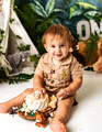 Wild One Cake Smash