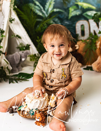 Wild One Cake Smash