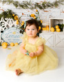 Lemon Cake Smash Session