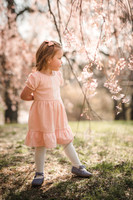 Bromberg Cherry Blossom