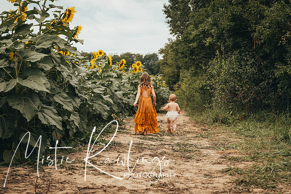 Sunflower Mini Session