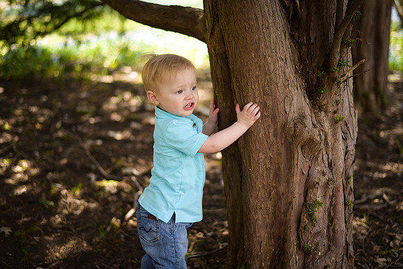 Tree Hugger
