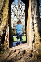 A Day at the Park