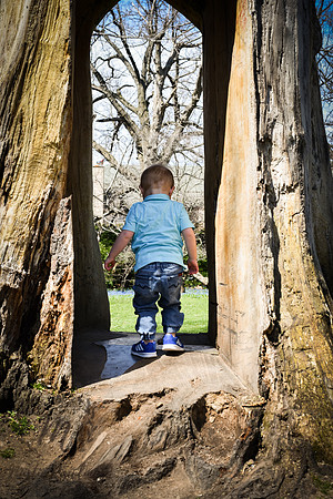 A Day at the Park