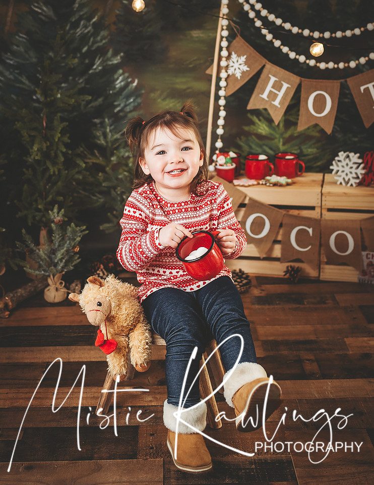 "Rochester NY Photographer," "Rochester family photographer", "Rochester newborn photographer", "Rochester children's photographer", "Pittsford NY Photographer, " "mini sessions", "Mistie Rawlings photography"