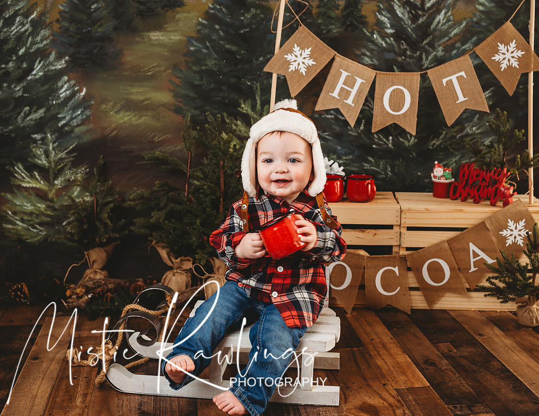 "Rochester NY Photographer," "Rochester family photographer", "Rochester newborn photographer", "Rochester children's photographer", "Pittsford NY Photographer, " "mini sessions", "Mistie Rawlings photography"