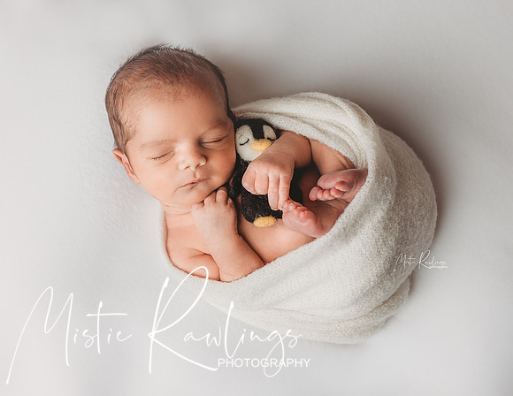 Newborn Photography