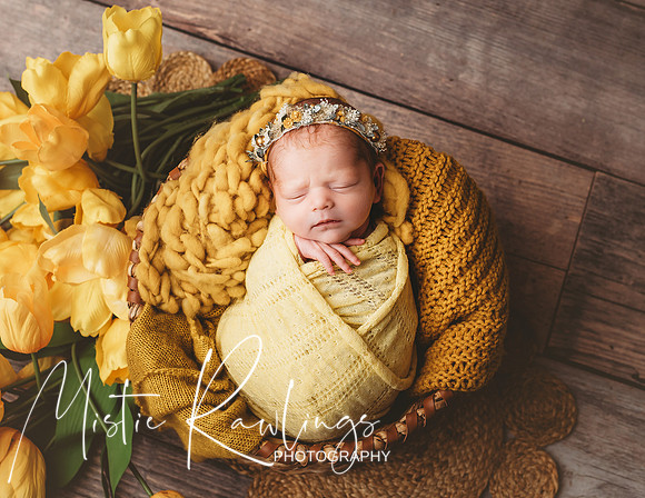 Newborn Photography
