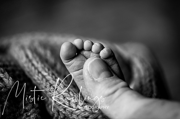 Newborn Photography